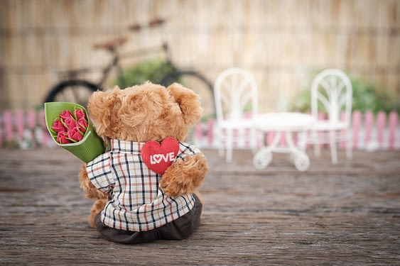 SAN VALENTIN OSO